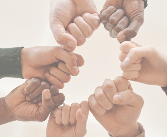 testamento solidarios Calala